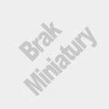 brak logo